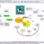 2023 Professional Mind Mapping Project Management Business Idea WINDOWS 10 Mac