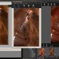 Edit Digital RAW & JPEG Image Photo Editor Editing Software Windows10 Mac Sierra