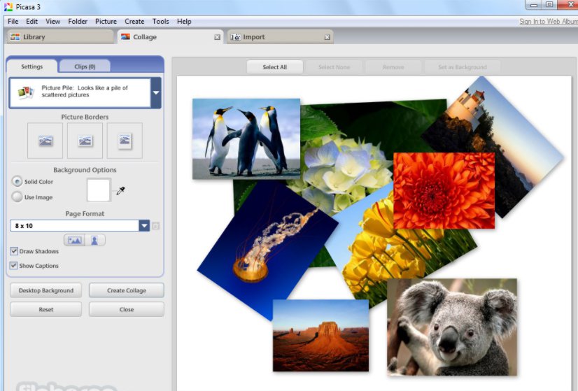 where to download google picasa for mac