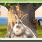 Media Player Windows Play Video DVD Music Audio AVI MP4 DIVX WMV MPEG ASF QT SWF