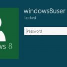 Windows XP 8.1 10.1 Password Recovery Reset Remove Software Microsoft Windows