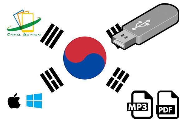 Learn Korean Language Training Course Speak FAST & EASY MP3 Audio PDF USB