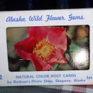 Alaska Wild Flower Gems 12 Natural  Postcards* Dedmans Photo