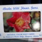 Alaska Wild Flower Gems 12 Natural  Postcards* Dedmans Photo
