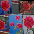 Roses in 4 views  Postcards* printed in Belgium