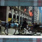 New York City 59TH St with horse drawn carriage POSTCARD