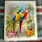 Vintage 3D Pop out *Parrot BOUQUET* Greeting Card by Mainzer-unused