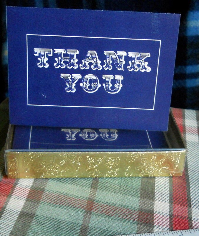 TEN (10) THANK YOU NOTES with envelopes graphic on blue background