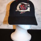 VTG Pro-Line GREENSBORO HORNETS Logo NY Class A BASEBALL Black fitted CAP hat
