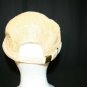 Livity Outnerational eco-friendly awesome strapback tan cap hat