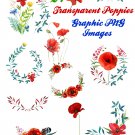 24 Poppy Flowers and Branches Clip Art Bundle Transparent PNG Files