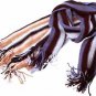 Wholesale Scarf Stripe 10Astd Color