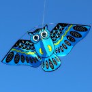 New 110*50cm Colorful Owl Kite With Kite Line Easy To Fly Outdoor Toy For Childr