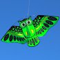 New 110*50cm Colorful Owl Kite With Kite Line Easy To Fly Outdoor Toy For Childr