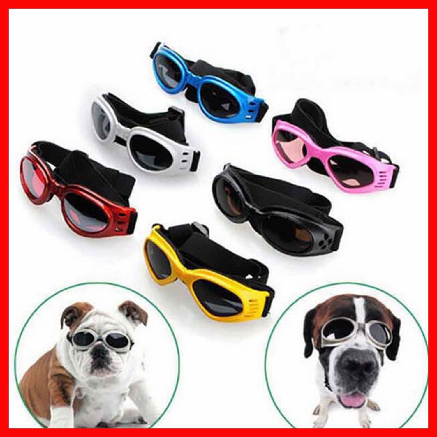 Уф собака. Doggles очки. Очки для собак. Солнечные очки для собак. Очки для собак защитные.