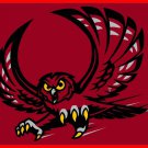 Hot New Temple Owls flag 90*150 CM Digital Printing 100D Polyester NCAA flag