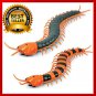 Dog Toy Electric RC Centipede Fake Insect Remote Control Centipede Creative