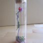 Beauty and the Beast Enchanted Rose Flower in Tube Gift Replica Belle Princess