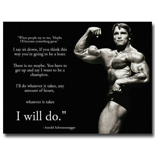 Arnold Schwarzenegger Motivational Quotes Poster 32x24