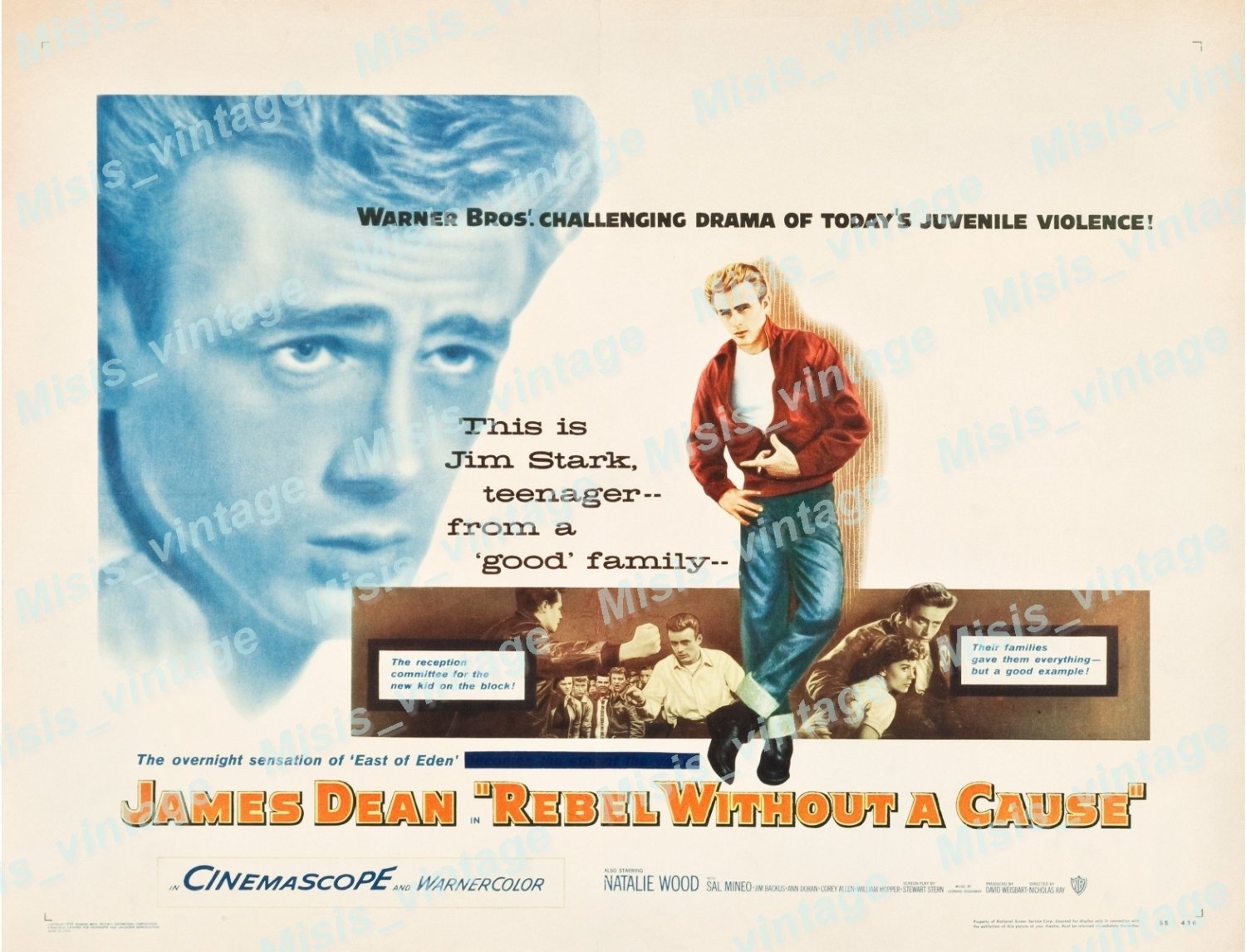 Rebel Without A Cause 1955 Vintage Movie Poster Reprint 24