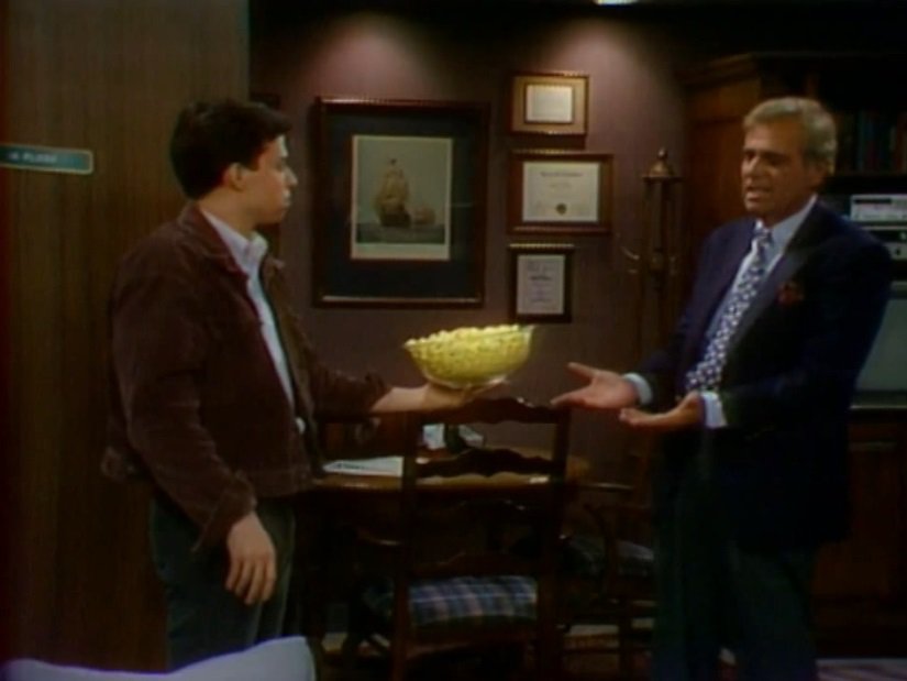 The Famous Teddy Z (1989) The Complete Studio DVD Series