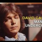 David Cassidy: Man Undercover (1978) - DIGITAL DOWNLOAD of The Complete Studio Print Collection