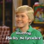 Silver Spoons (1982) - The Complete DVD Studio Collection