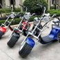 Electric Fat Back & Front Tire Scooter Lowrider Harley Style CityCoco Bike eBike Moped, 60V 20AH