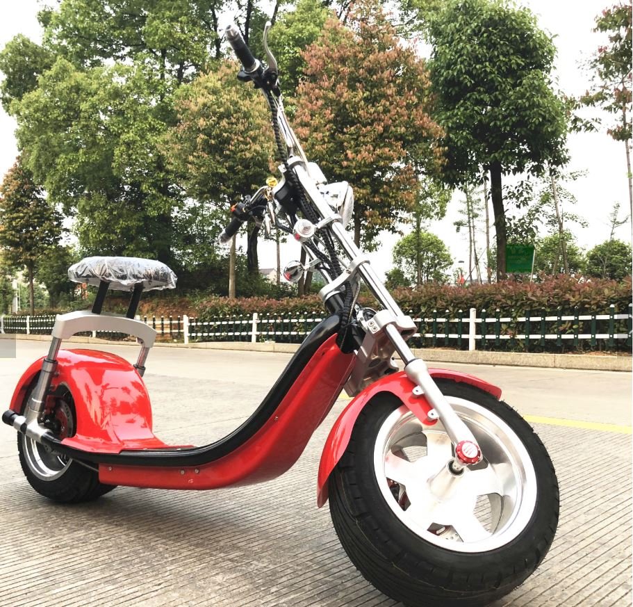 Electric Fat Back & Front Tire Scooter Lowrider Harley Style CityCoco