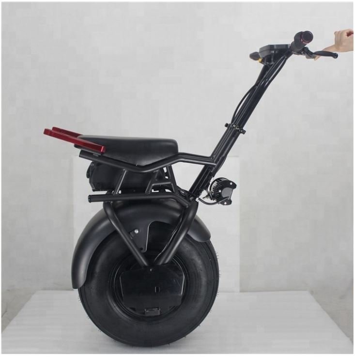 Self Balancing Electric Unicycle Scooter, One Big Wheel and 1000W Motor 7AH, Black or Gold Fender