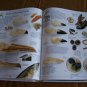 Natural Earth Living Earth [homeschool]