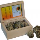 Blooming Flower Tea ''Lotus in the Water'' x5 teaballs
