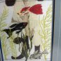 Framed needlepoint picture Siamese cat looking in fish tank cm1043
