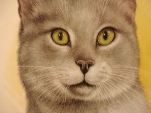 Wood & Sons gray cat plate English Ironstone perfect cm1439