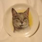 Wood & Sons gray cat plate English Ironstone perfect cm1439