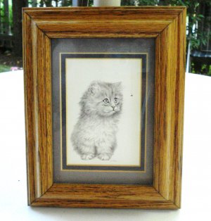 Long haired kitten with spider print V Miller oak frame Persian cm1455