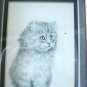 Long haired kitten with spider print V Miller oak frame Persian cm1455