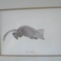 Cat kitten chasing string watercolor signed Patrick Liu Lin framed preowned 4 way cm1459