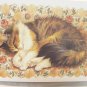 Post Cats Lesley Anne Ivory's Cat Paintings hard cover art and writing cm1502