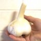 Garlic Cloves