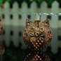 10 LED Metallic Bronze Iron Owl String Lights Christmas Festival Decor Gifts