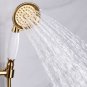 Brass metal PVD gold water saving telephone shower head set