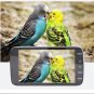 GPS Dual Lens Camera HD Car DVR Dash Cam Video Recorder G-Sensor Night Vision
