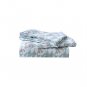4PC FULL Kid's choice printed microfiber sheet set First Circus bear on a bike