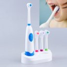 Electric Oral Care Toothbrush Replacement With 4 Teeth Brush Color random