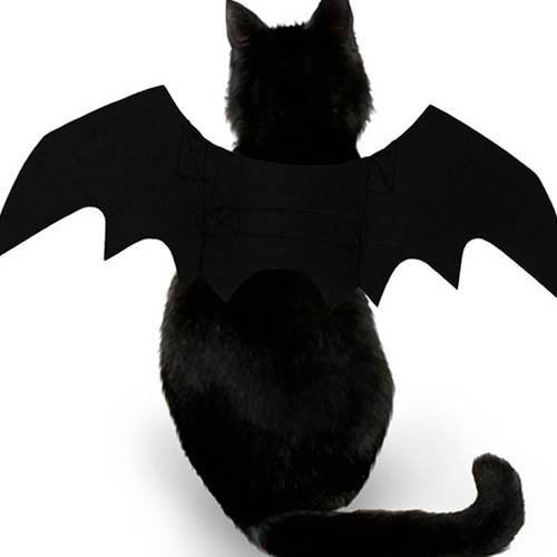 Bat Wings Vampire Black Cute Fancy Dress Up Halloween Pet Dog Cat Costume