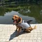 Dog Life Jacket Large Pet Float Coat Dogs Lifesaver Safety Vest Shark Size L