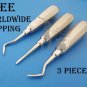 Dental Root Elevators Set Right, Left & Straight 3 Pieces Dentist Instruments