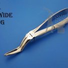 Dental Extraction Forceps, Fig 51 L Dentist Dental Oral Surgery Instruments