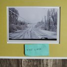 Ice Storm 1993 Upstate near Plattsburg New York NY Nature copy reprint 8x10 unframed